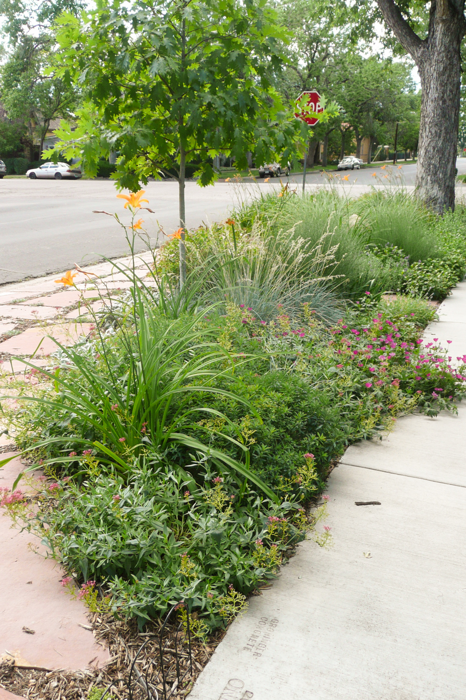 Flagstone and Flowers